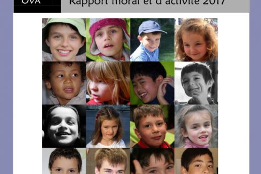 Couverture du rapport d'activité 2017